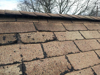 Organic Roof Shingles