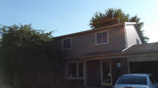 Vinyl Siding